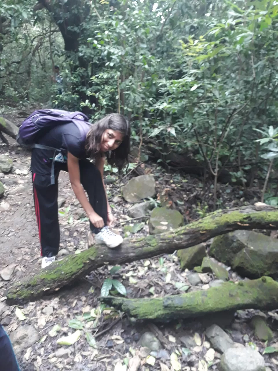 Photo of ANDHARBAN...WANDERING IN DARK FOREST by Shrushti Kamble