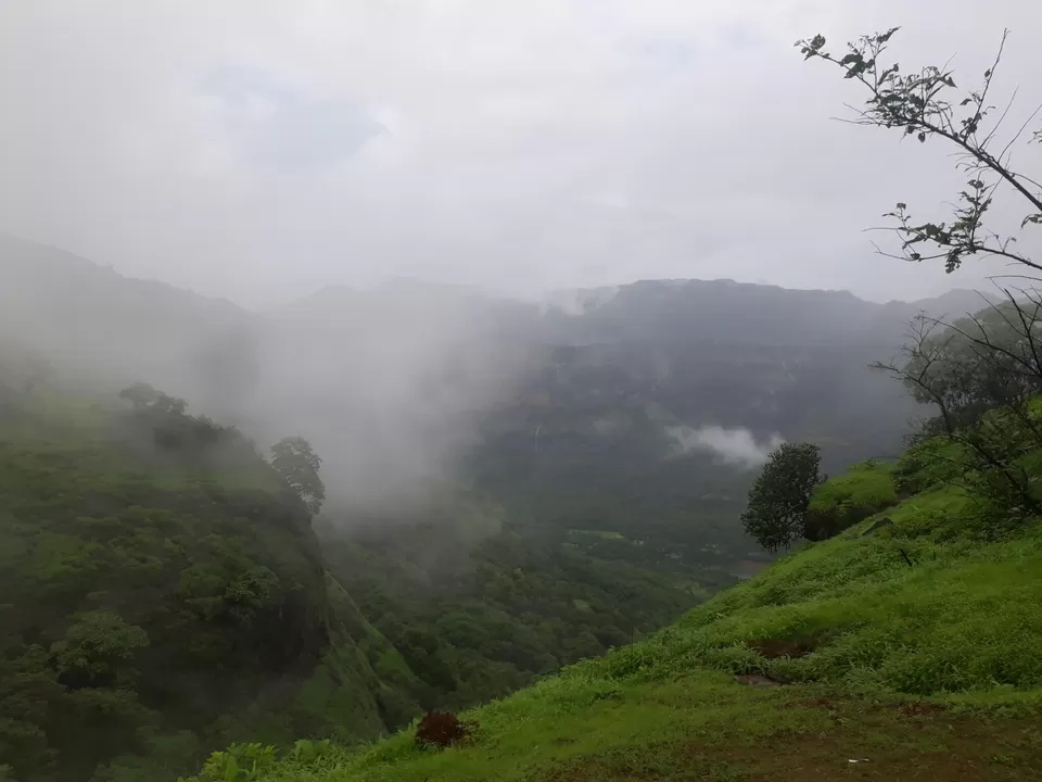 Photo of ANDHARBAN...WANDERING IN DARK FOREST by Shrushti Kamble