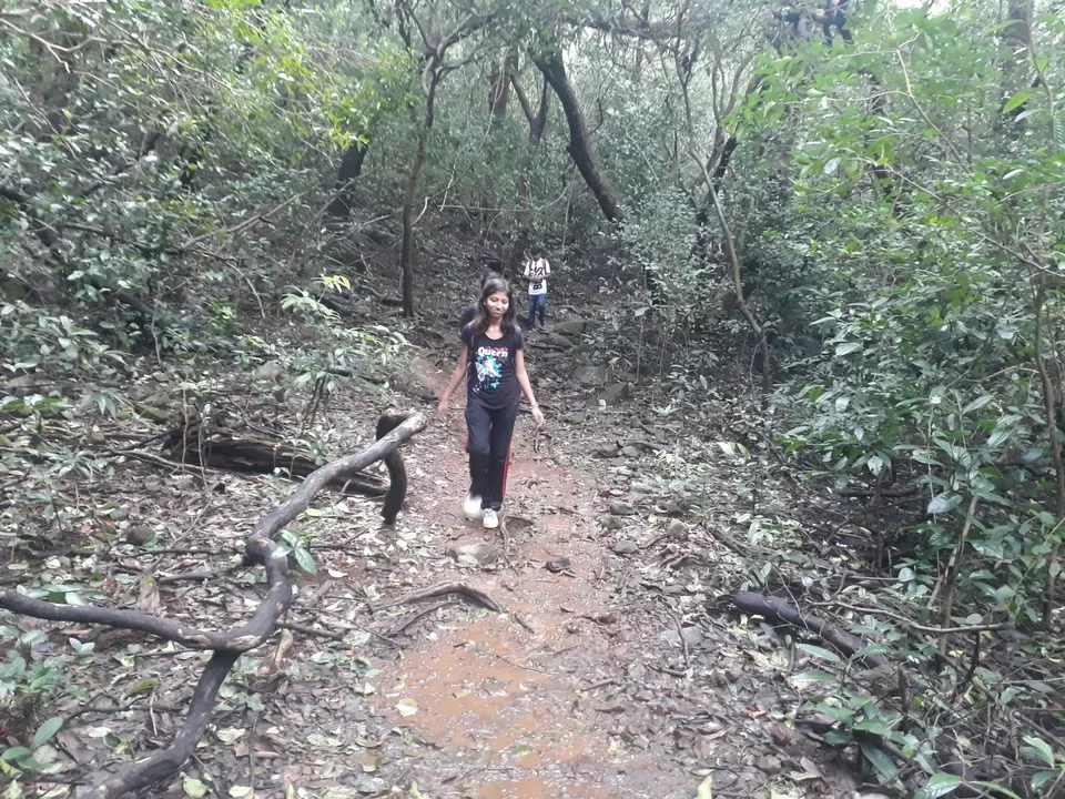 Photo of ANDHARBAN...WANDERING IN DARK FOREST by Shrushti Kamble