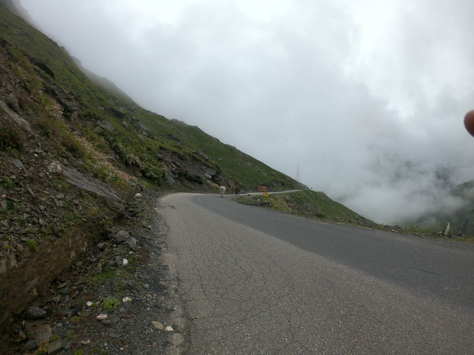 Photo of Marhi, Himachal Pradesh, India by Pravesh Yadav