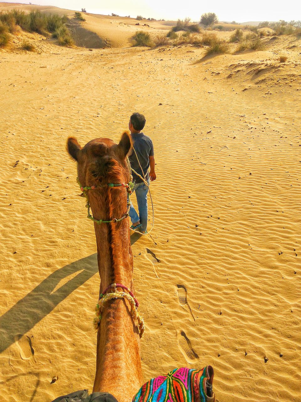 Photo of RAJASTHAN - Jaane kya dikh jaaye! #rajasthaninphotos 5/10 by Pravesh Yadav