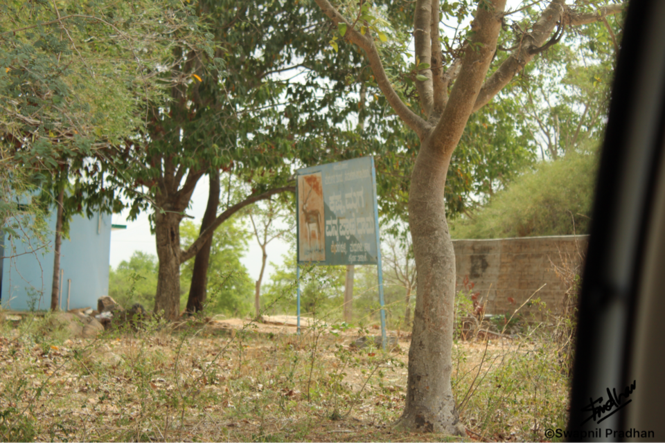 Photo of Blackbuck Reserve!! 1/1 by Swapnil Pradhan