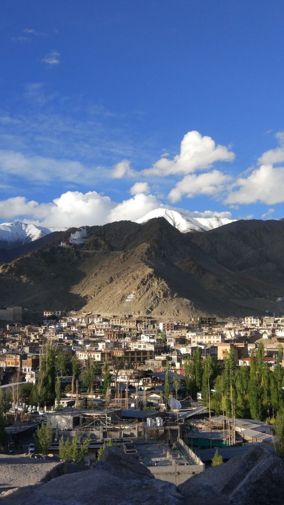 Photo of A perfect day in & around LEH 1/1 by Samarika Issar