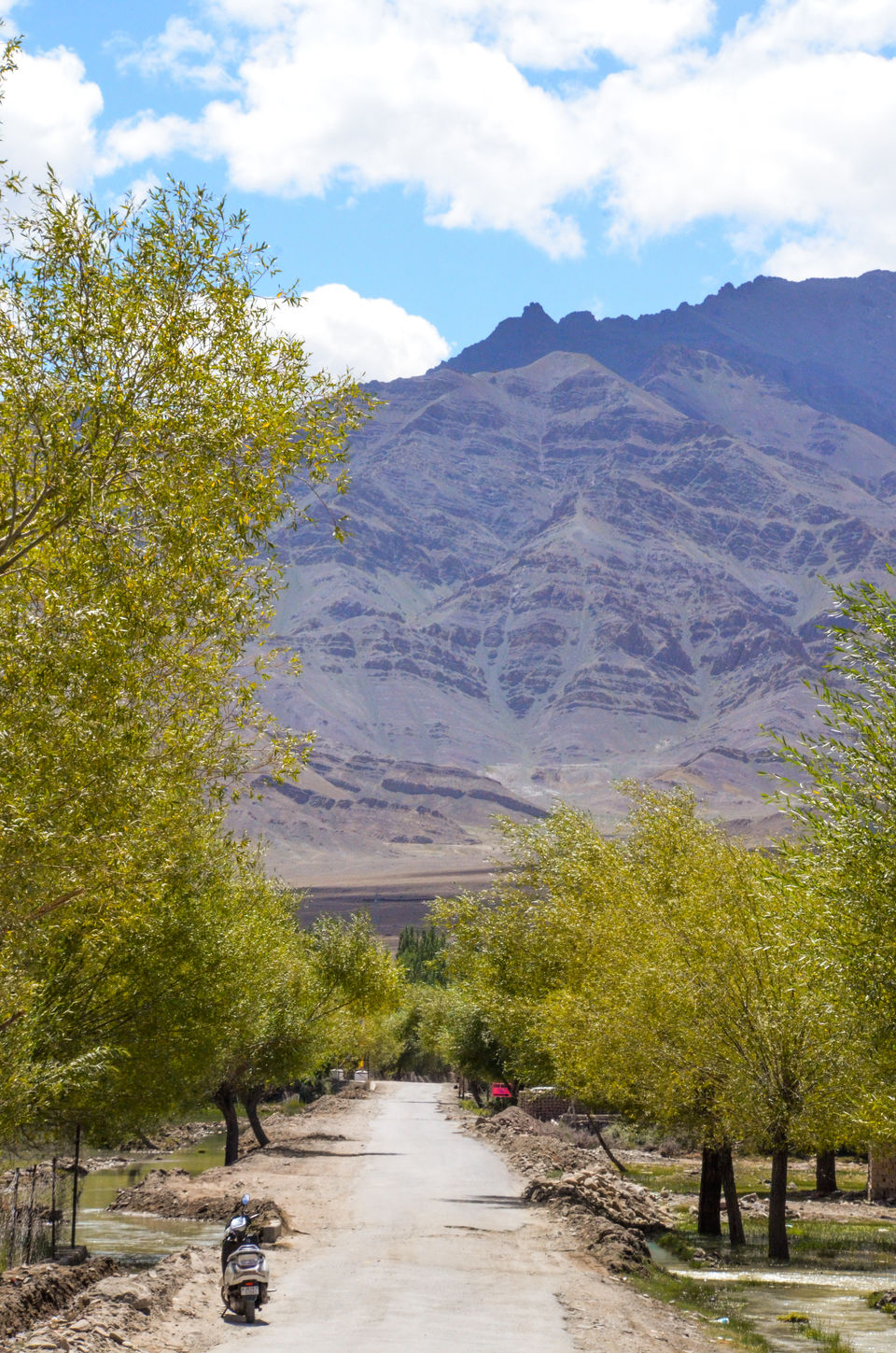 Photo of Stok Monastery, Ladakh by Samarika Issar