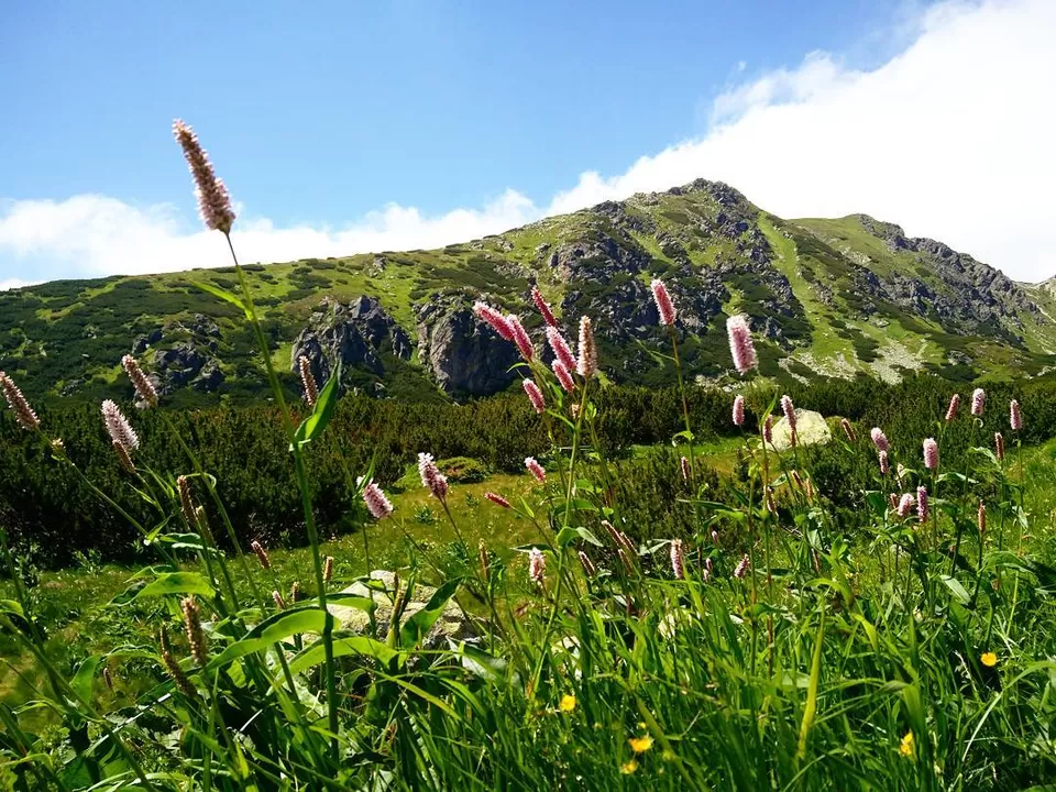 Photo of Furkotská dolina, Vysoké Tatry, Slovakia by ANshul Sharma