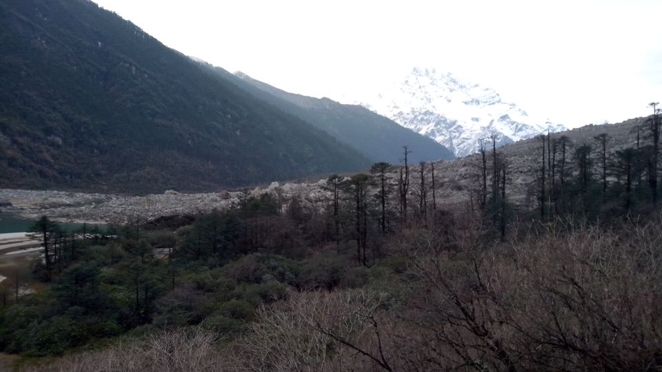 Photo of Valley of Flowers, Yumthang, Sikkim, India by Dr. Reon Patel