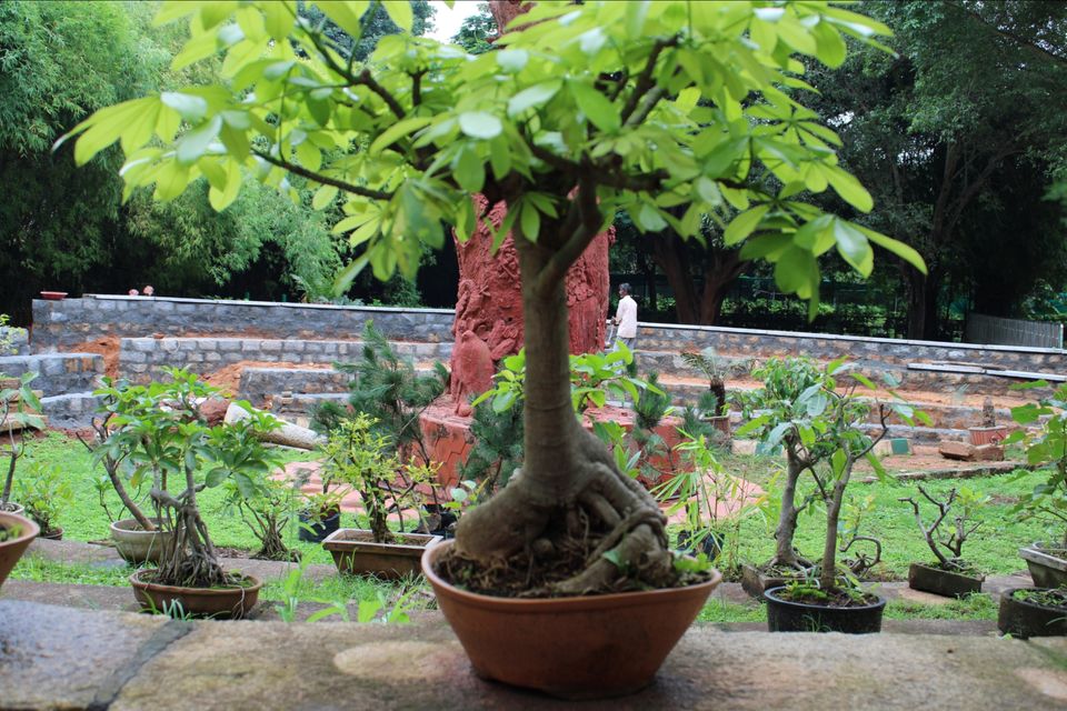 Photo of Lalbagh Botanical Garden, Mavalli, Bengaluru, Karnataka, India by Dr. Reon Patel