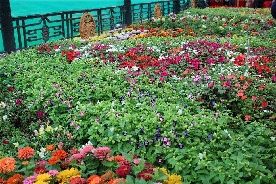 Photo of Lalbagh Botanical Garden, Mavalli, Bengaluru, Karnataka, India by Dr. Reon Patel