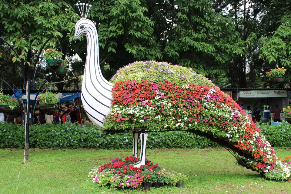 Photo of Lalbagh Botanical Garden, Mavalli, Bengaluru, Karnataka, India by Dr. Reon Patel