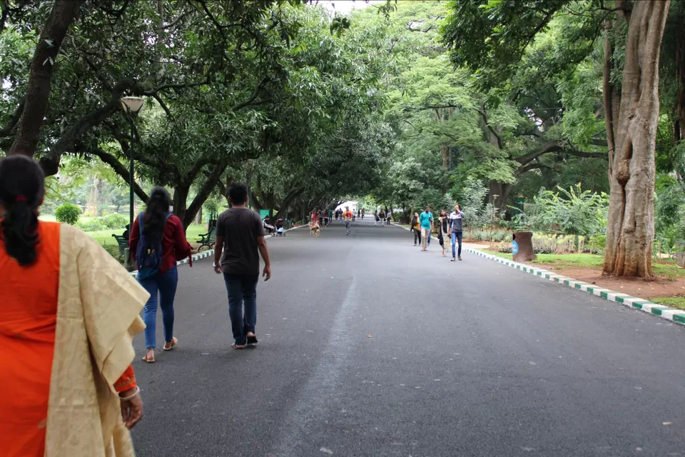 Photo of Lalbagh Botanical Garden, Mavalli, Bengaluru, Karnataka, India by Dr. Reon Patel