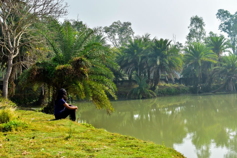 Photo of Trip to the Kingdom of Floating Vessels - Sunderbans by Hemant Khandagale