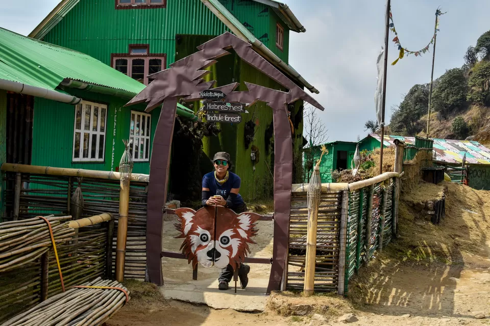 Photo of Habre's Nest, Jamuna, Nepal by Hemant Khandagale