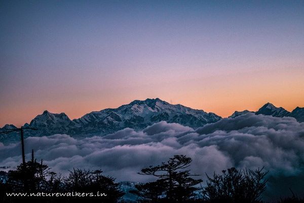 Photo of Sandakphu/Phalut trek, Damey Gaon, Mane Bhanjang, West Bengal, India by Hemant Khandagale