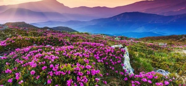 Photo of Some of the Best offbeat locations to visit in Sikkim to spend your Summer 2021 by Hemant Khandagale