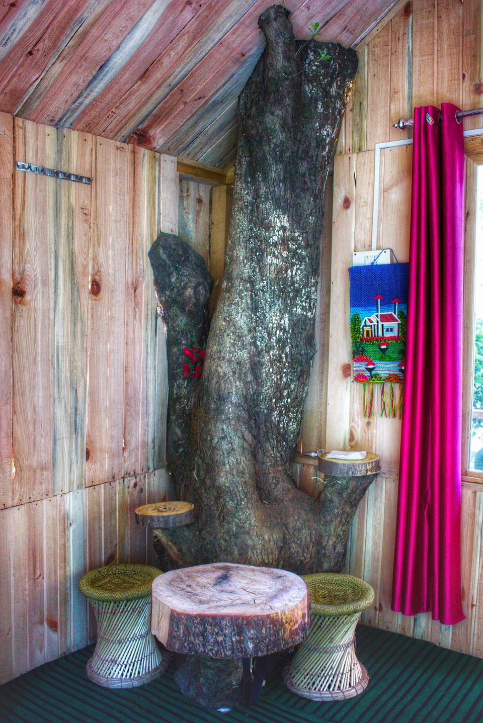 Photo of A not on map treehouse in jibhi #colourgreen by ankita