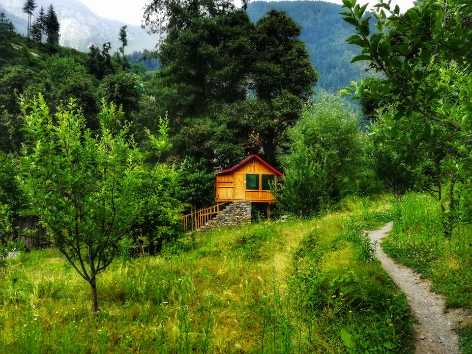 Photo of A not on map treehouse in jibhi #colourgreen by ankita
