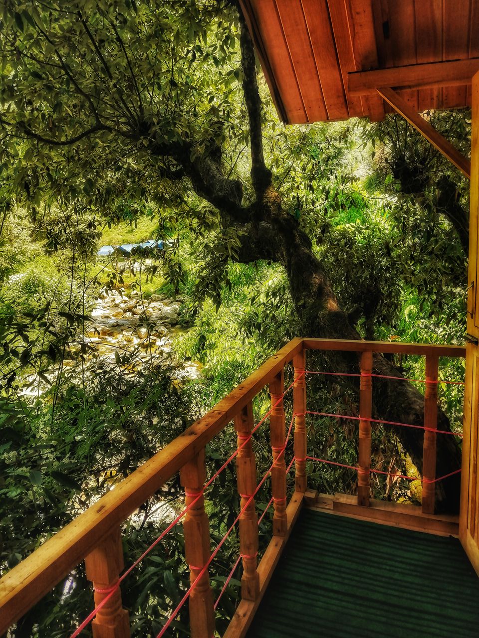 Photo of A not on map treehouse in jibhi #colourgreen by ankita
