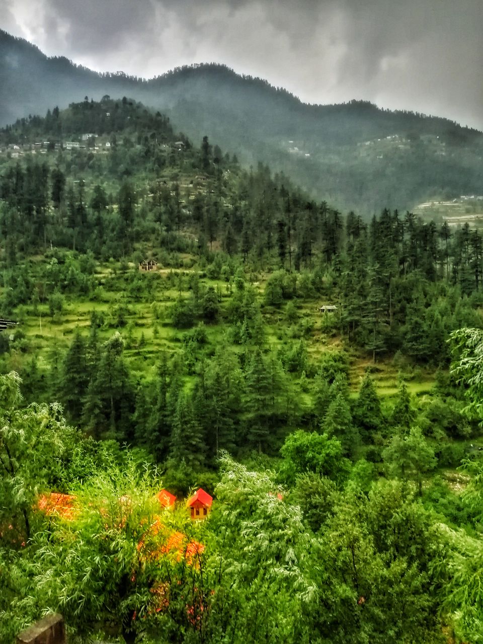 Photo of A not on map treehouse in jibhi #colourgreen by ankita