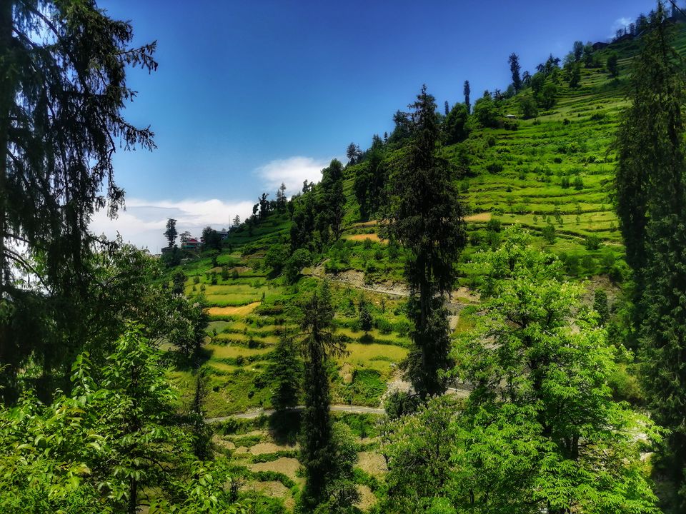 Photo of A not on map treehouse in jibhi #colourgreen by ankita