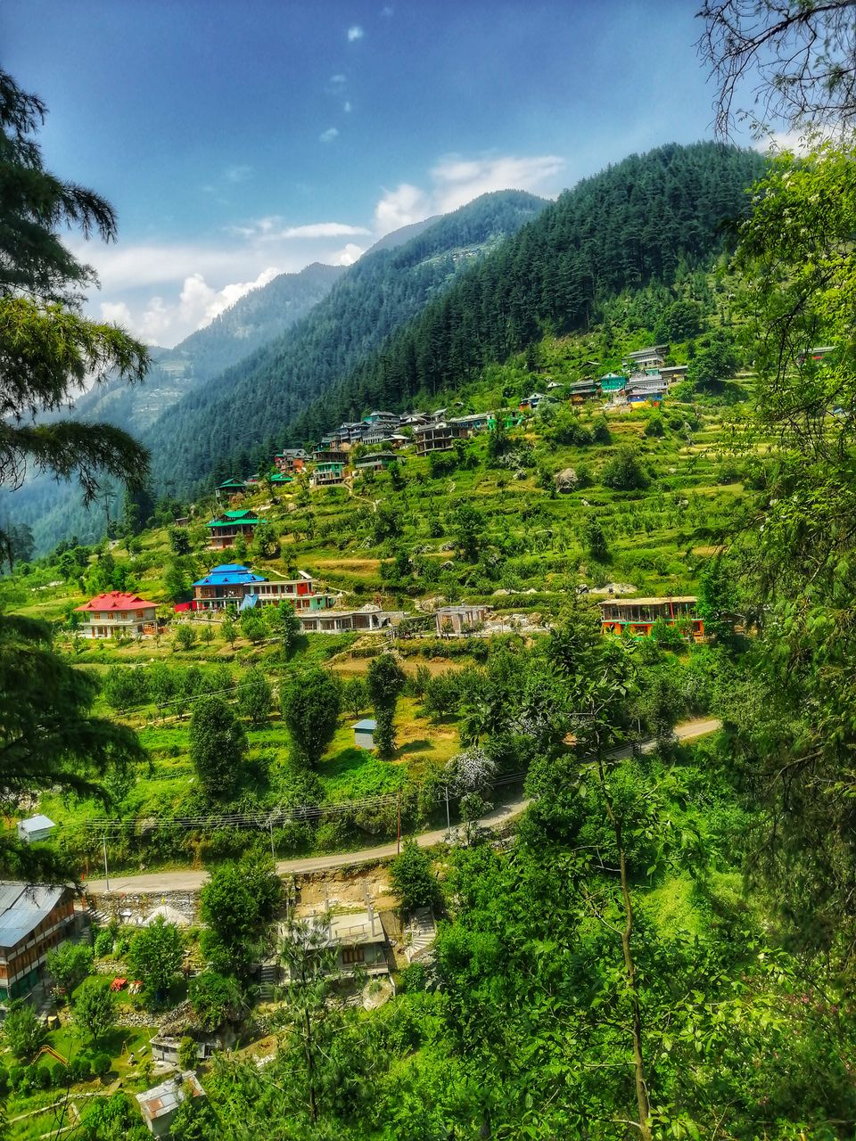 Photo of A not on map treehouse in jibhi #colourgreen by ankita