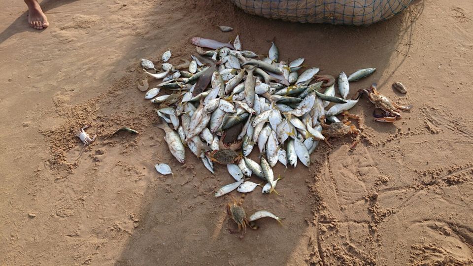 Photo of Chirala beach, Vadarevu Road, Kotha Peta Rural, Andhra Pradesh, India by Nikita Ravishankar