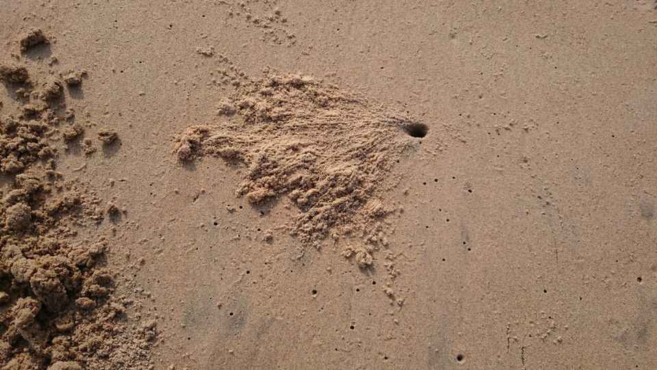 Photo of Chirala beach, Vadarevu Road, Kotha Peta Rural, Andhra Pradesh, India by Nikita Ravishankar