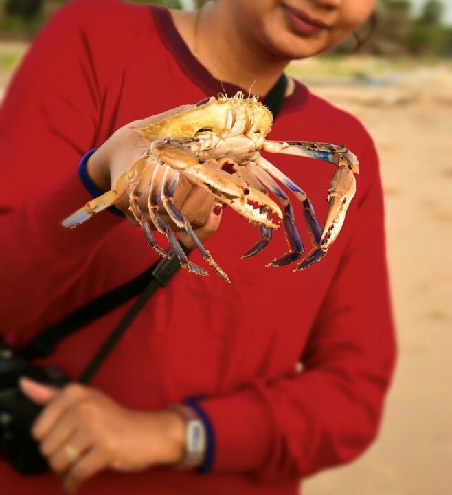 Photo of Chirala beach, Vadarevu Road, Kotha Peta Rural, Andhra Pradesh, India by Nikita Ravishankar