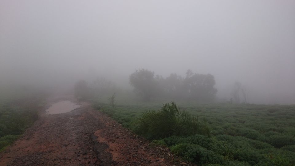 Photo of AMAZING, COOL HILLS & CHILLS OF COORG (Kodagu)..... 1/1 by Nikita Ravishankar