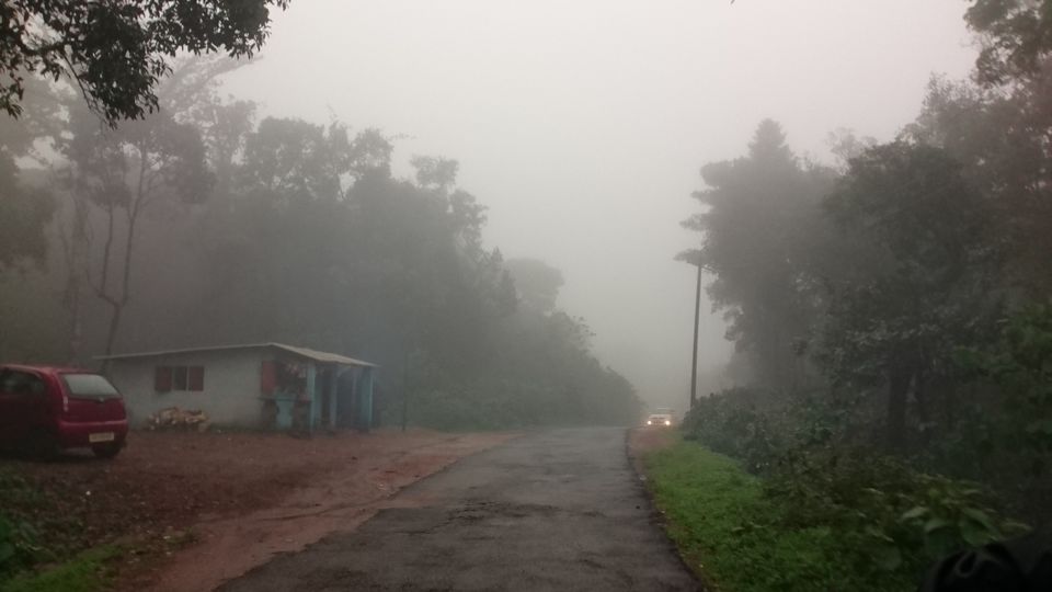 Photo of AMAZING, COOL HILLS & CHILLS OF COORG (Kodagu)..... by Nikita Ravishankar