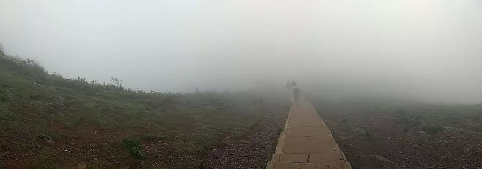 Photo of Mullayanagiri, Chickmagaluru, Karnataka, India by travel India