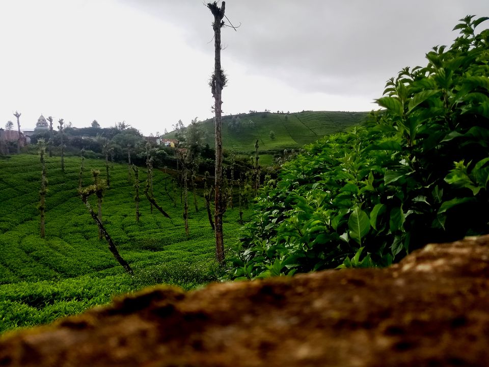 Photo of Ooty - Peace of mind by travel India