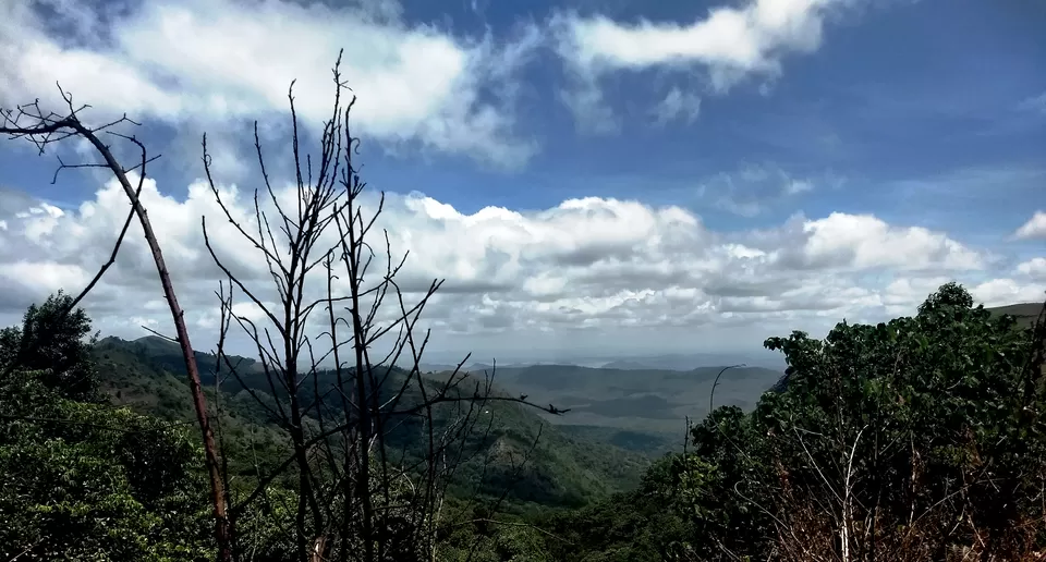 Photo of Kemmannugundi, India by travel India