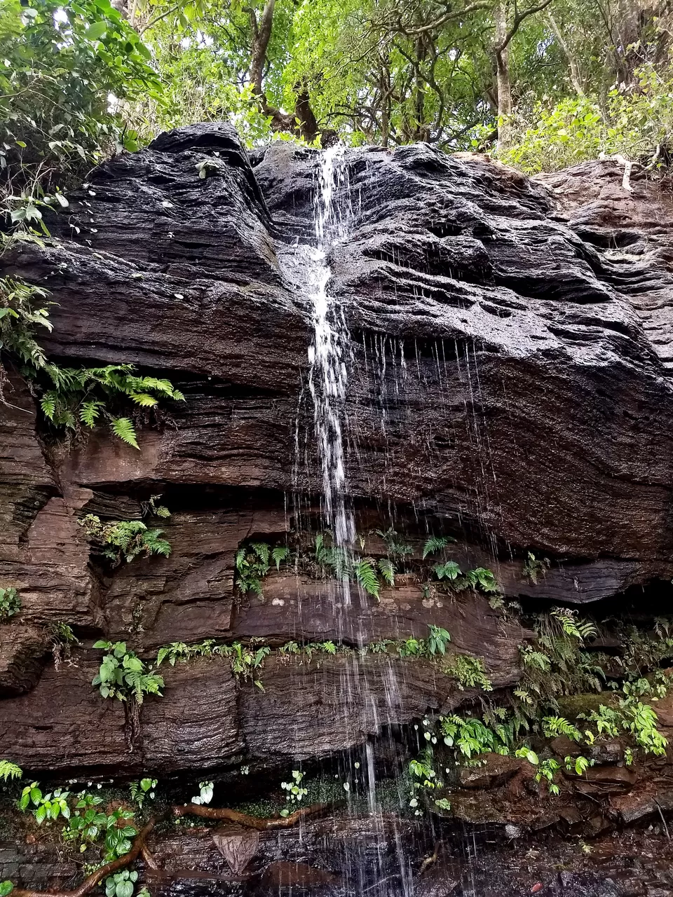 Photo of Kemmannugundi, India by travel India