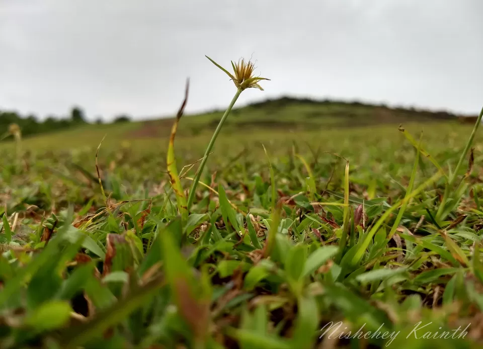 Photo of Every mile a memory - Gokarna by travel India