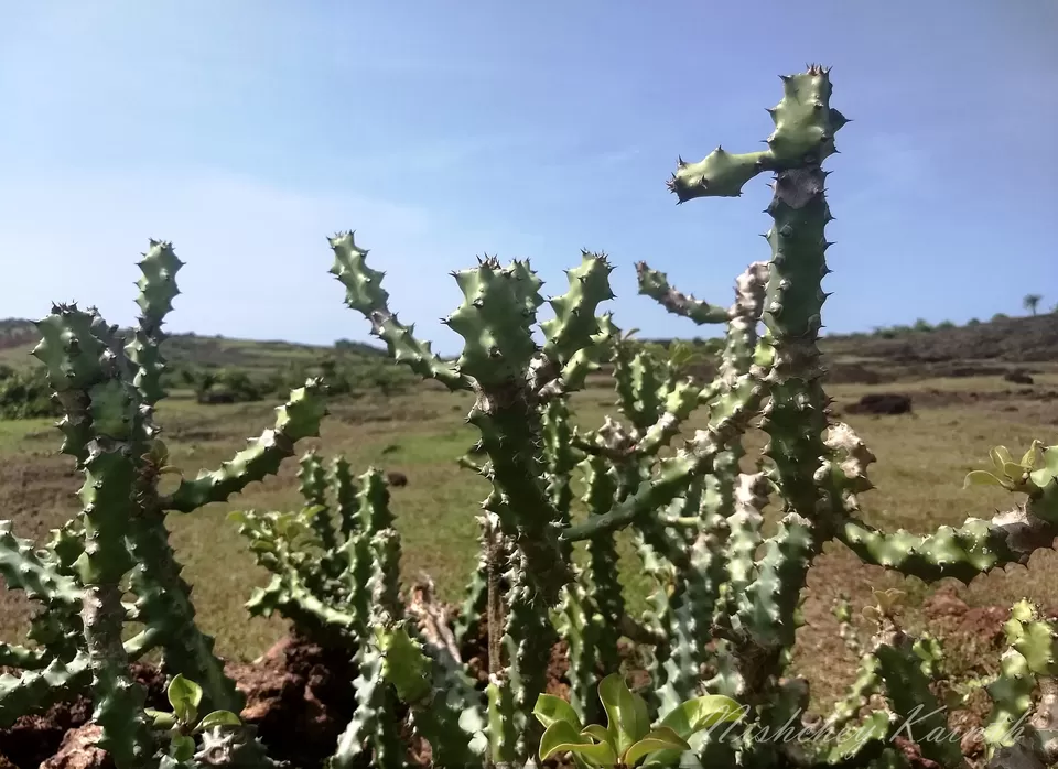 Photo of Every mile a memory - Gokarna by travel India