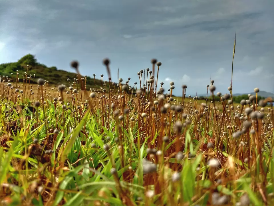 Photo of Every mile a memory - Gokarna by travel India
