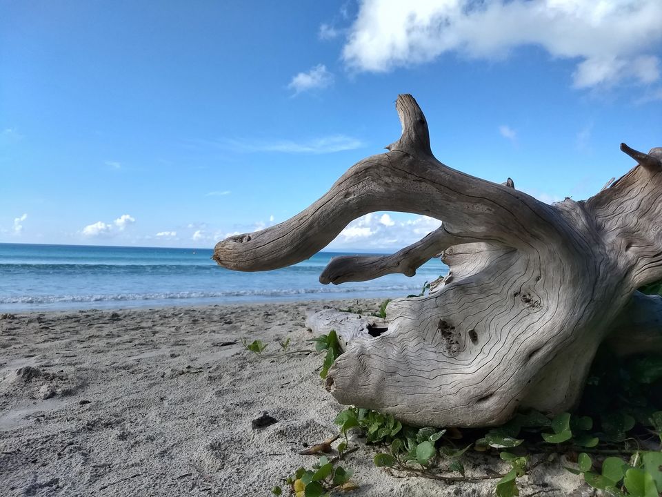 Photo of Havelock Island, South Andaman, Andaman and Nicobar Islands, India by travel India