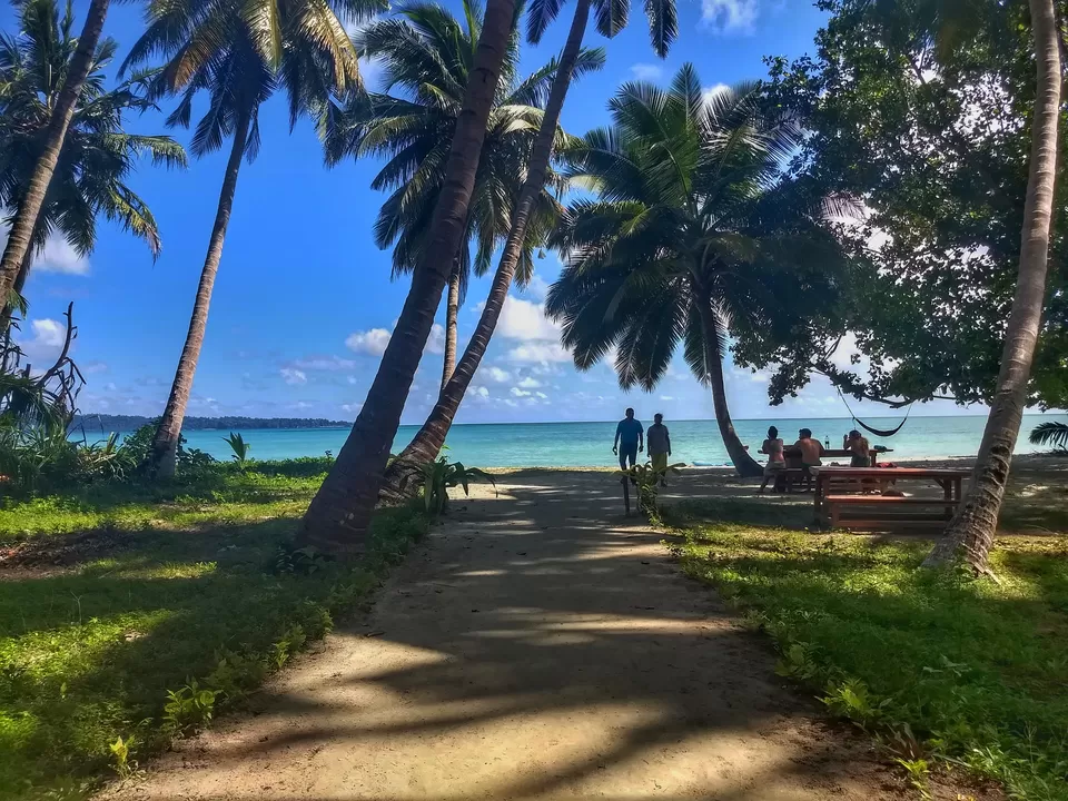 Photo of Havelock Island, South Andaman, Andaman and Nicobar Islands, India by travel India