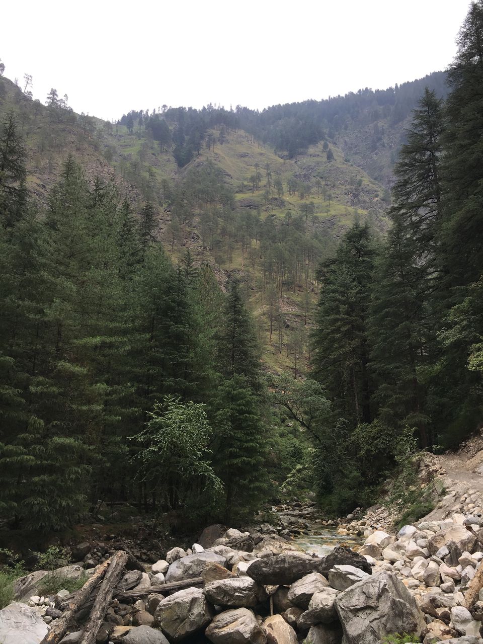 Photo of Kasol, Himachal Pradesh, India by Arpita Hiremath