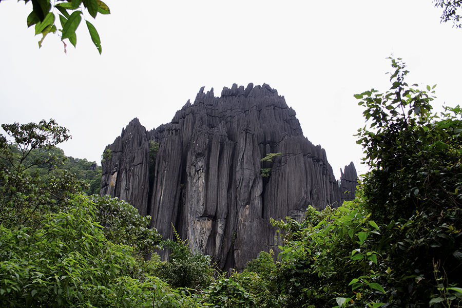 Photo of Yana, Karnataka, India by Kiran Kashyap