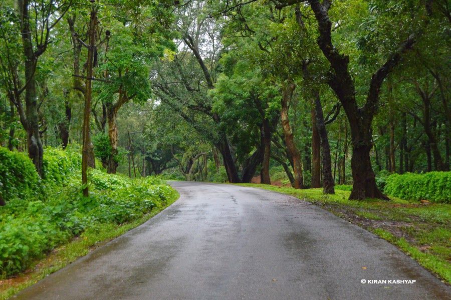 Photo of It's Monsoon..Plan a Trip to Chikmagalur. 1/20 by Kiran Kashyap
