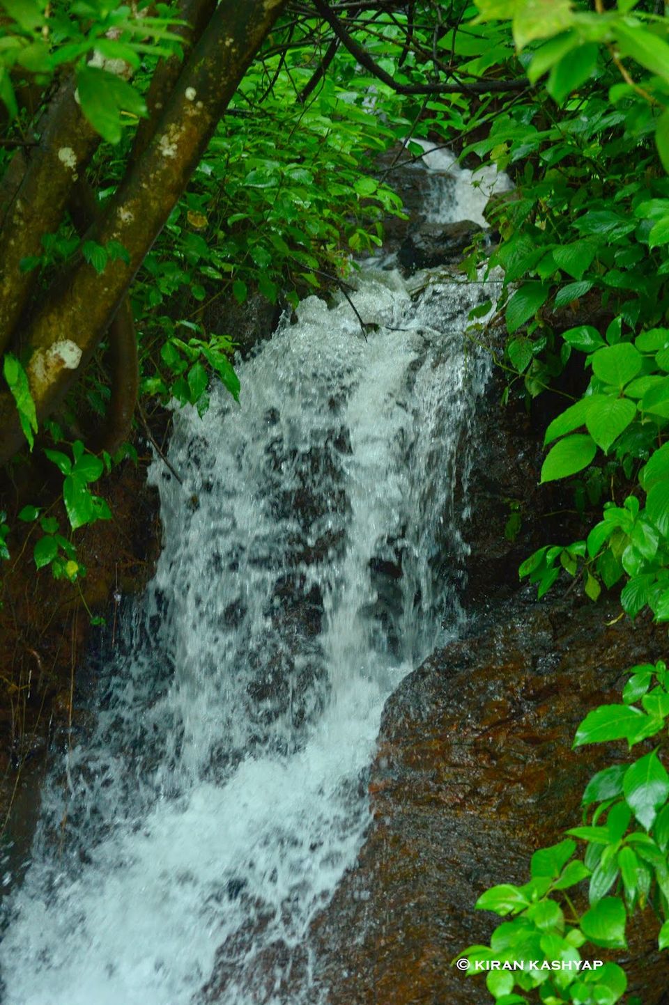 Photo of It's Monsoon..Plan a Trip to Chikmagalur. 2/20 by Kiran Kashyap
