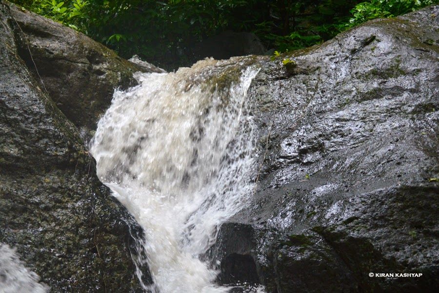 Photo of It's Monsoon..Plan a Trip to Chikmagalur. 6/20 by Kiran Kashyap