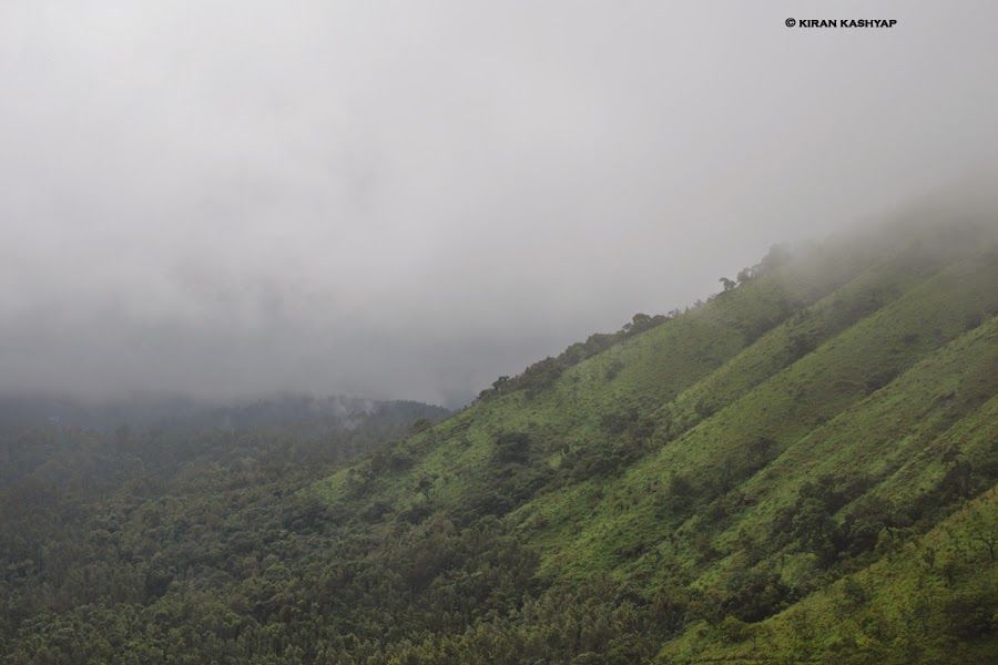 Photo of It's Monsoon..Plan a Trip to Chikmagalur. 10/20 by Kiran Kashyap