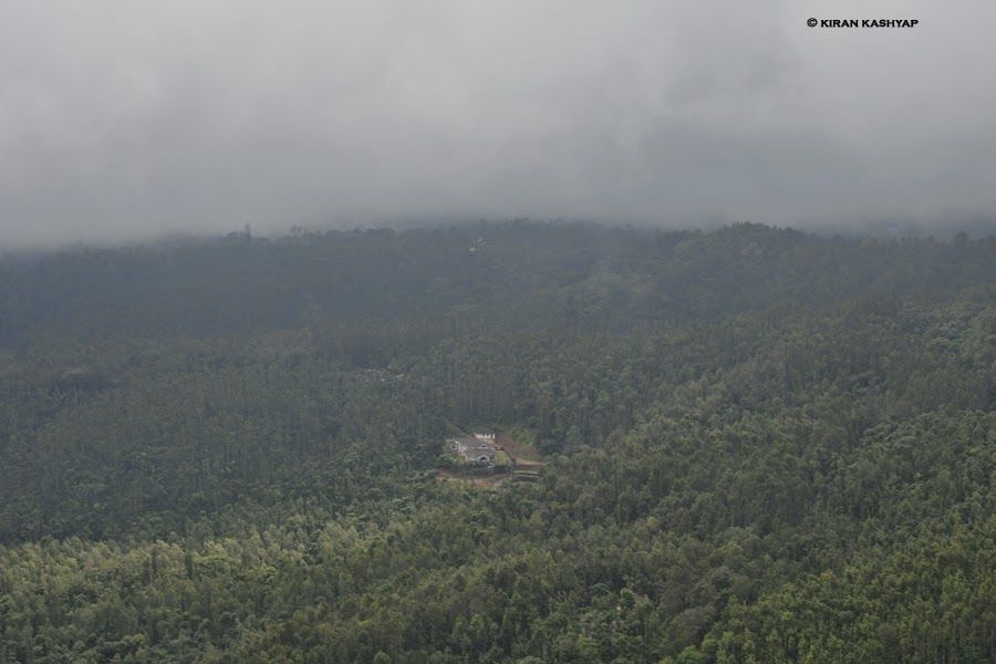 Photo of It's Monsoon..Plan a Trip to Chikmagalur. 11/20 by Kiran Kashyap