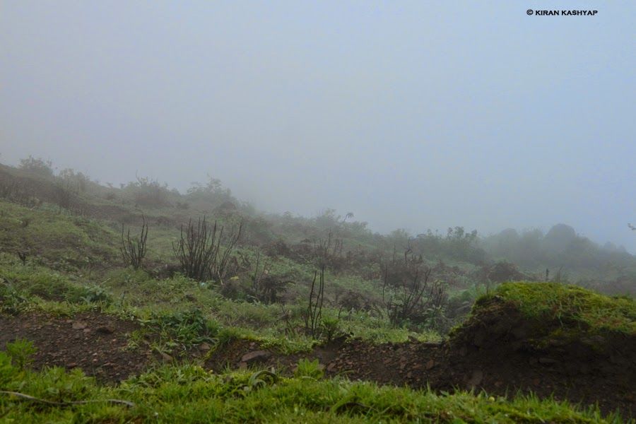 Photo of It's Monsoon..Plan a Trip to Chikmagalur. 12/20 by Kiran Kashyap