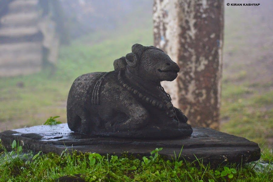 Photo of It's Monsoon..Plan a Trip to Chikmagalur. 14/20 by Kiran Kashyap