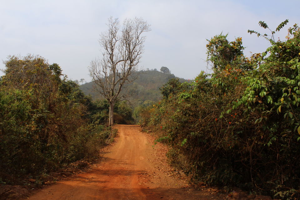 Photo of Daringbadi : Kashmir of Odisha 7/17 by Janty Dey