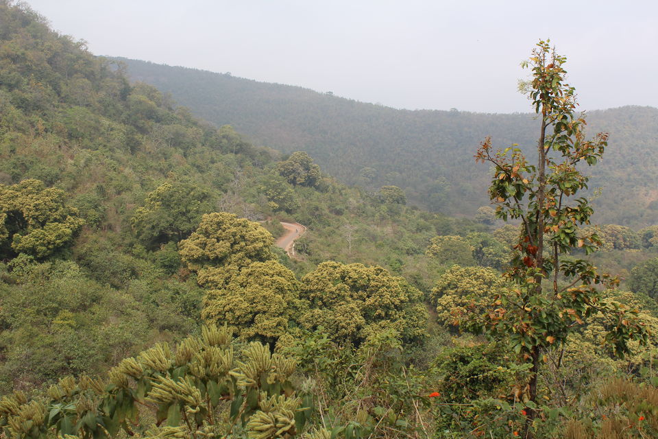 Photo of Daringbadi : Kashmir of Odisha 12/17 by Janty Dey