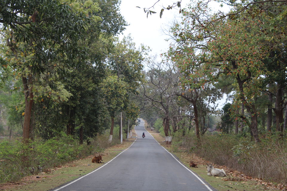 Photo of Daringbadi : Kashmir of Odisha 14/17 by Janty Dey